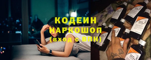 хмурый Алексин