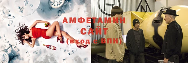 хмурый Алексин