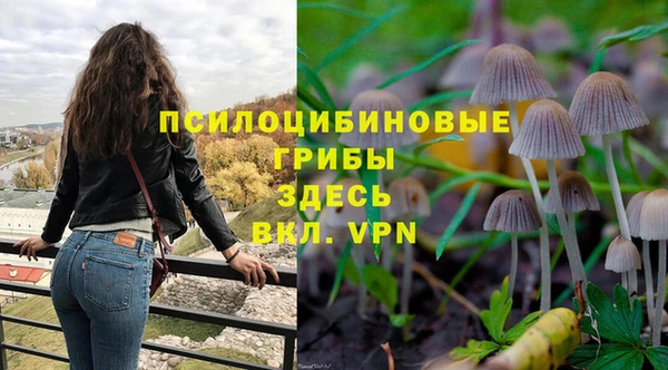 хмурый Алексин