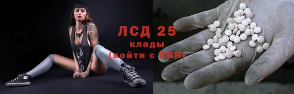 хмурый Алексин