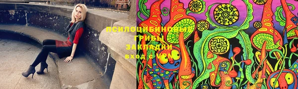 хмурый Алексин